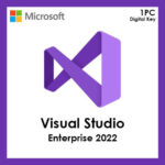 MICROSOFT Office Professional Plus 2019 (1 User/PC, Lifetime Validity) DVD Retail Pack (Copy)